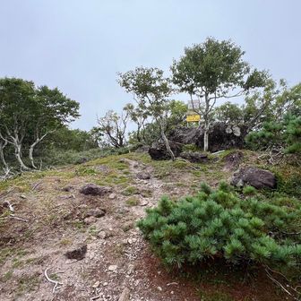 化物山山頂の周りは、長い草が無く開けているのでランチタイム。