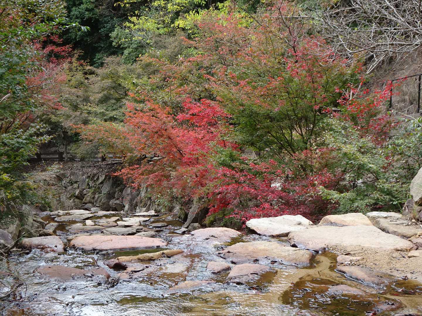 水分峡の紅葉が一番綺麗でした