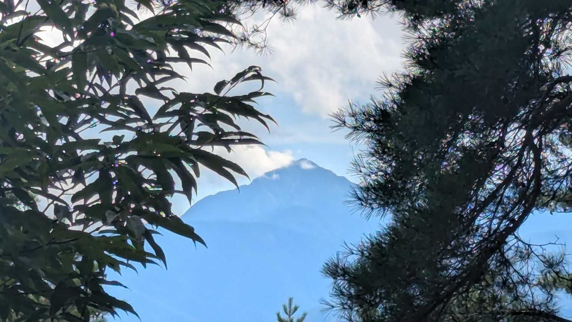 貴公子見えました