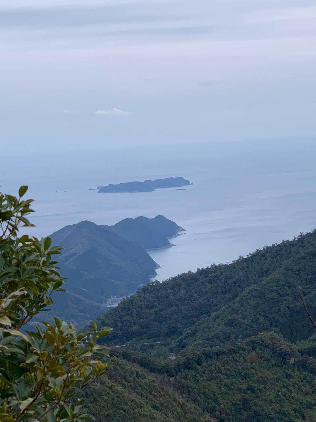 場照山の写真