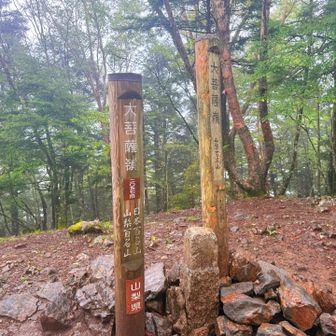 山頂には眺望がないのでした