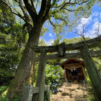 金立神社　中宮
