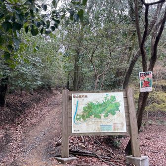 今日はここから