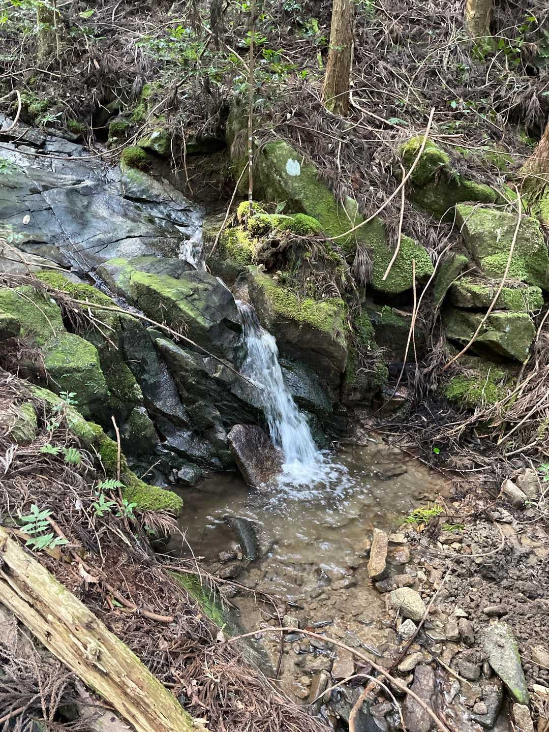 さすがに登山道の登りは汗掻きます💦