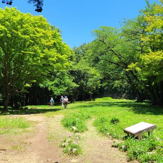 本丸手前の大広間に到着