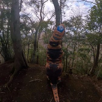 誰もいないけどね