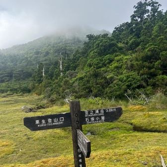 花之江河湿原、美しい😍
宮之浦岳3.8k