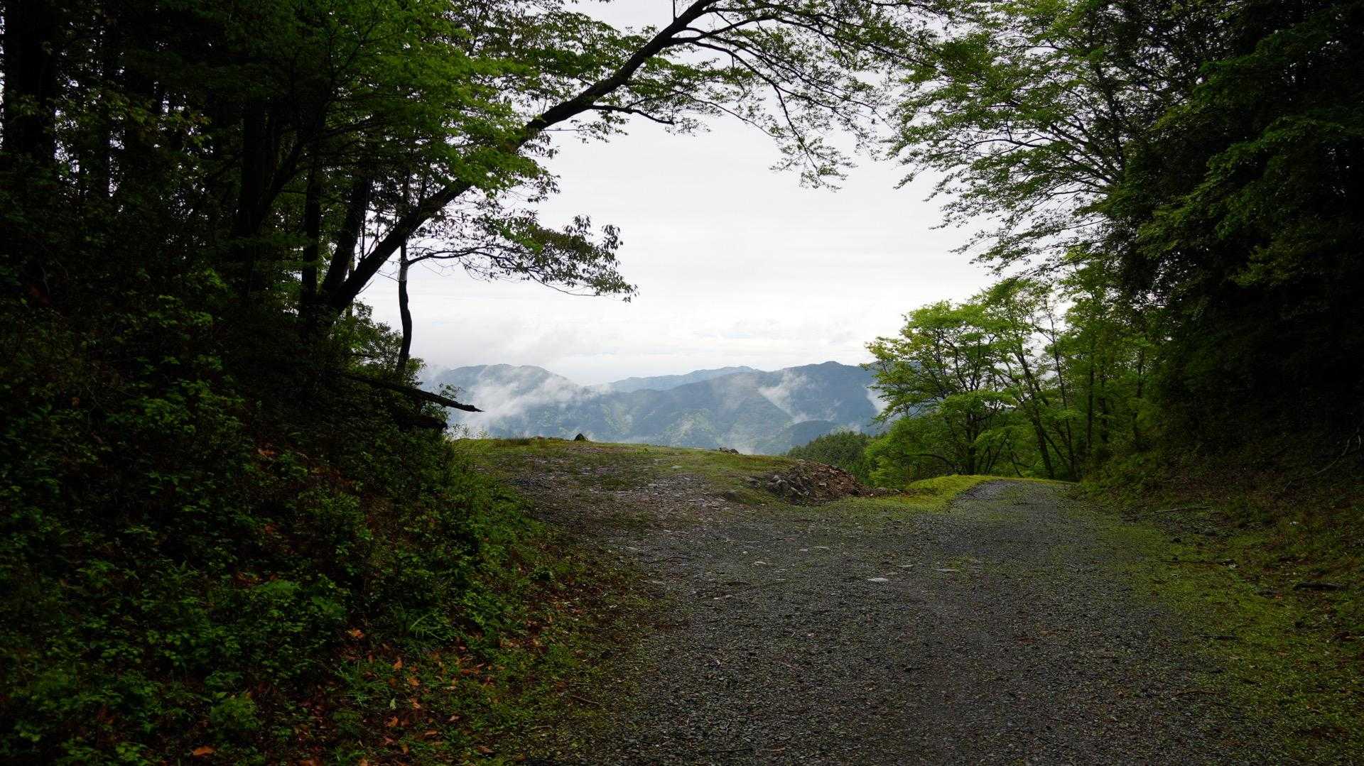 八瀬峠-長九郎山 往復コースの写真