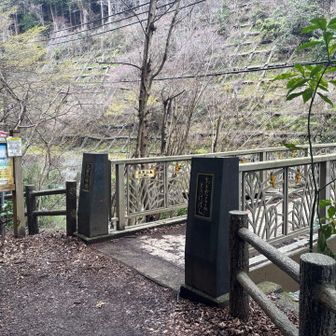 大垂水峠の橋を渡り高尾山へ

ほっこりエリアを抜けて追い込み開始
急登や長い階段を一定リズムで登り切るとちょうど良い負荷がかかる