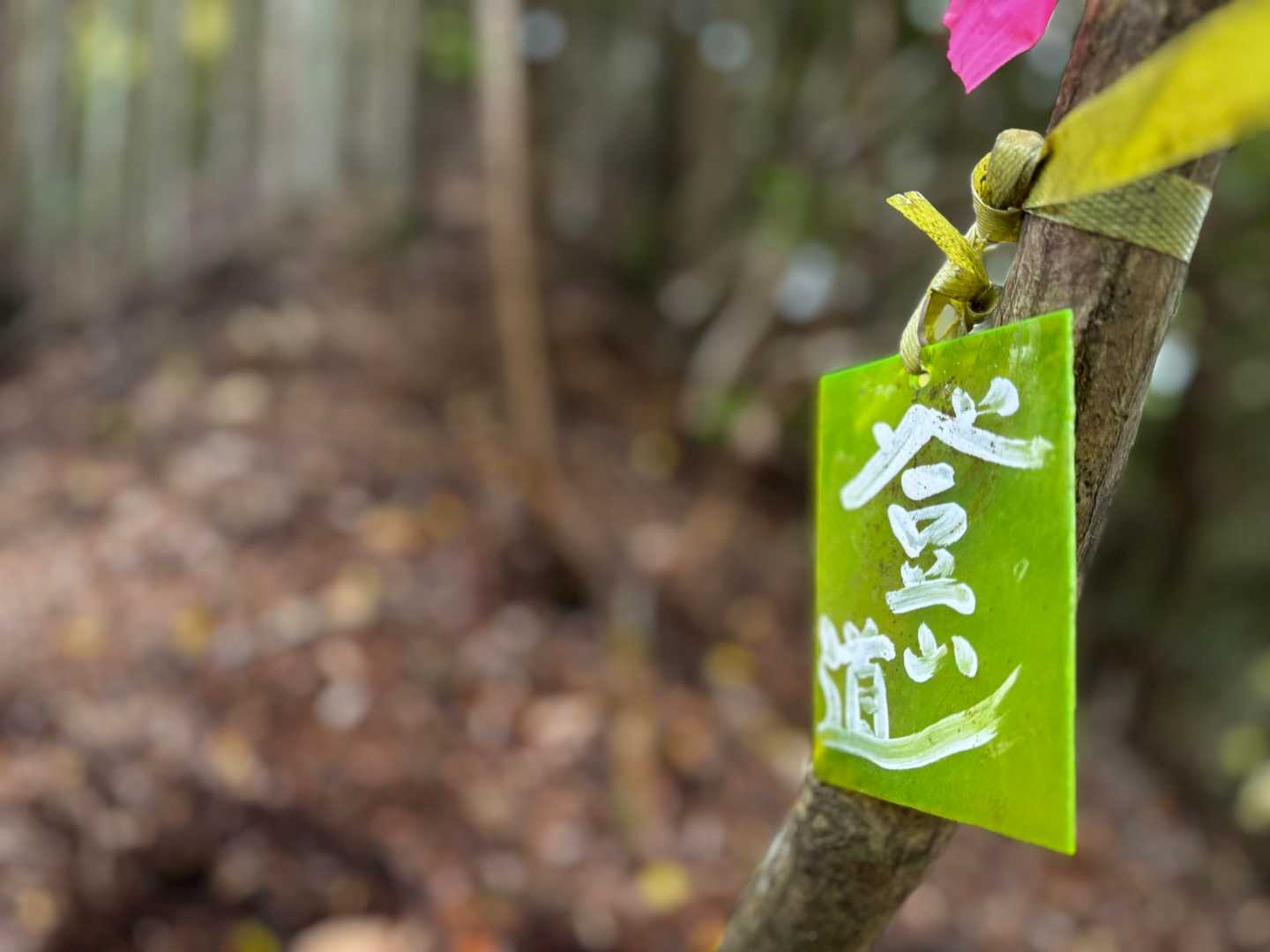 黄色の登山道　初めて来た時にこの札にほっとしたなぁ☺️