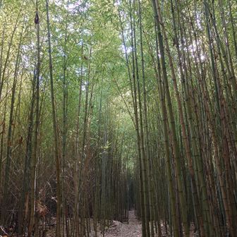 ずっと先まで続いています