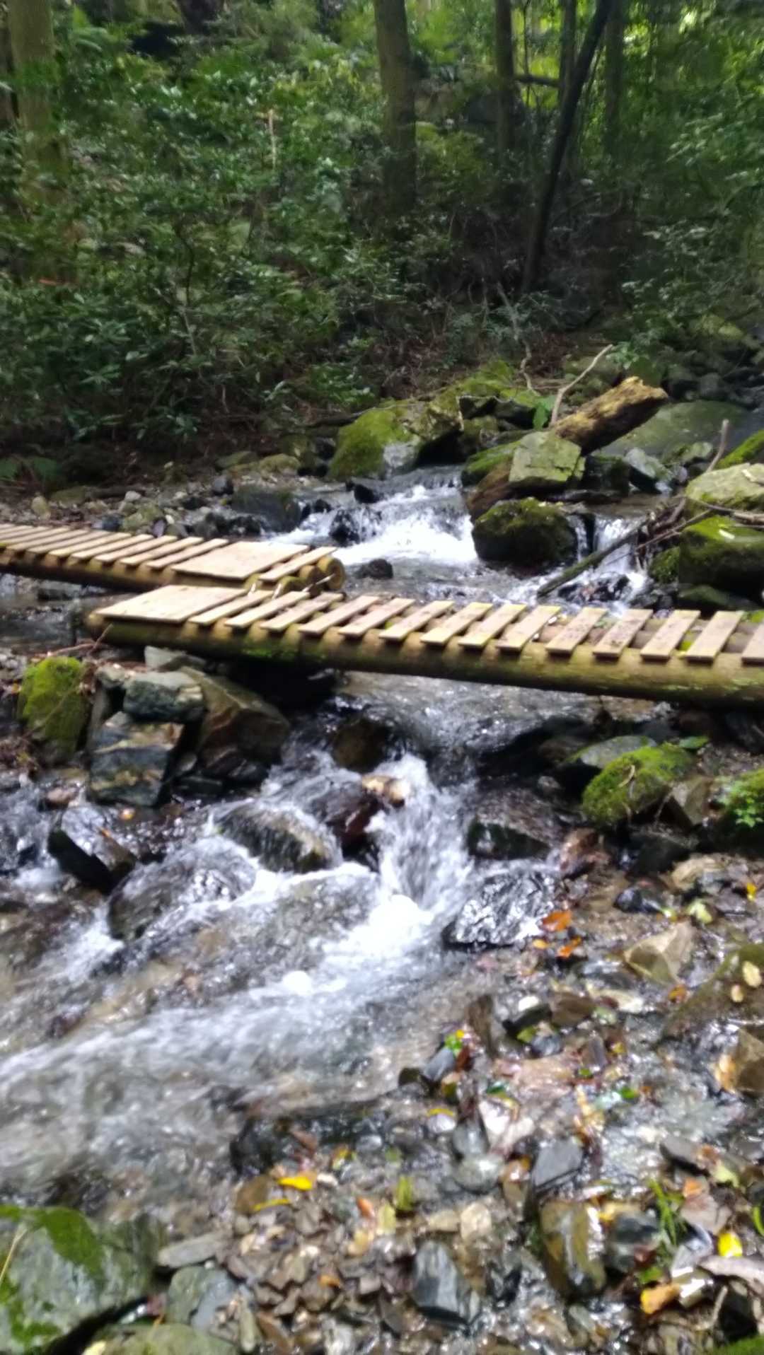 涼しい渓流