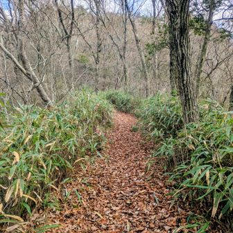 冬の尾根の代表的な風景