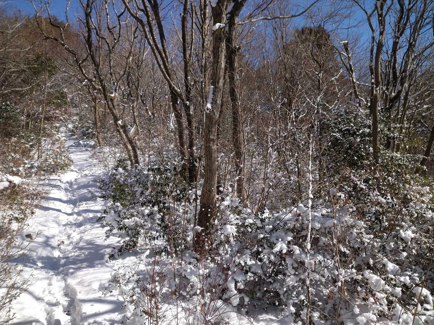 烏帽子岳山頂へ