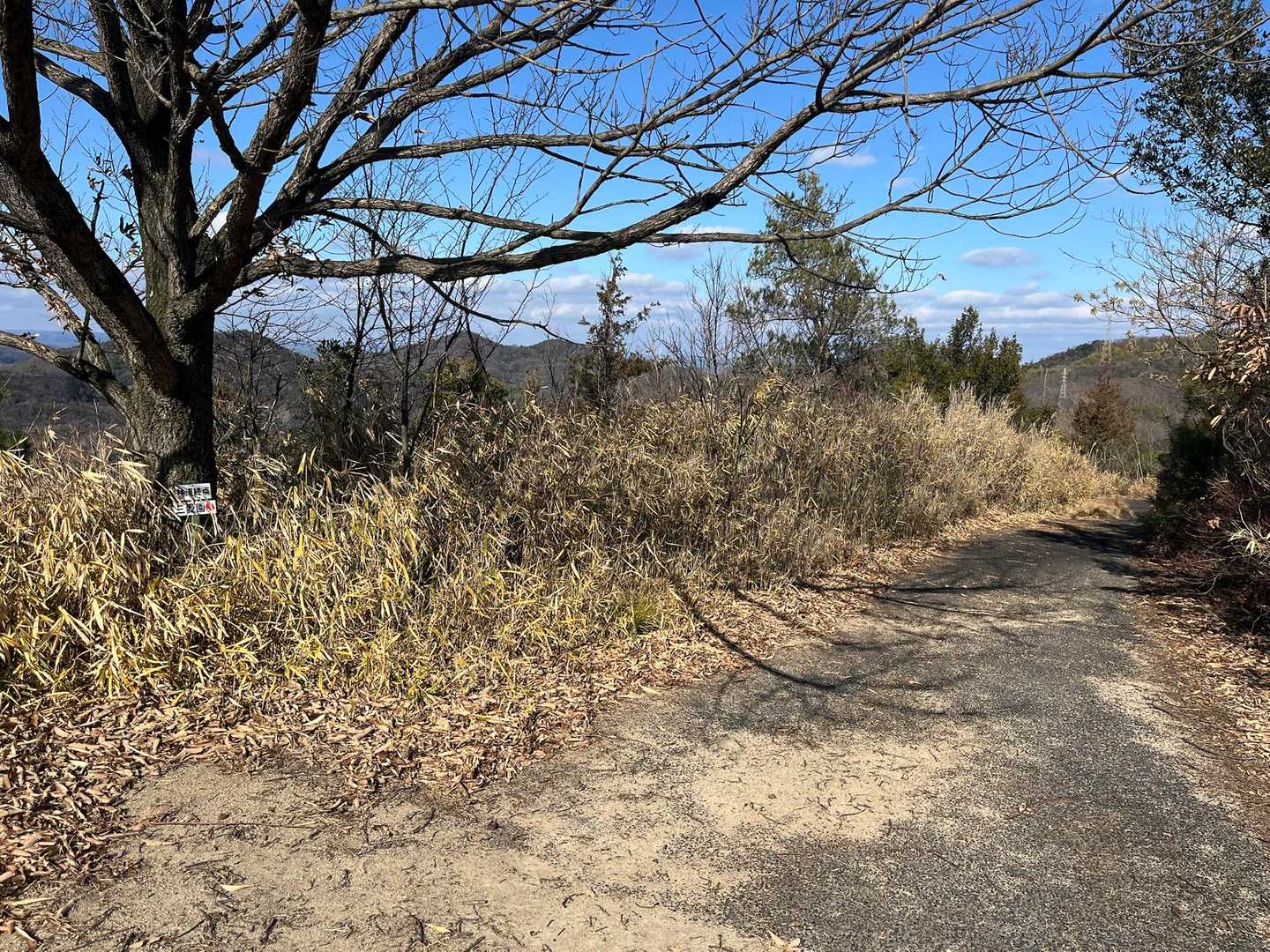 このあたりまで車で来れそうです🚗