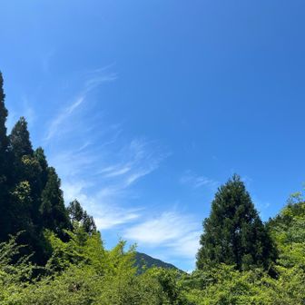 途中で抜けた空も見える。