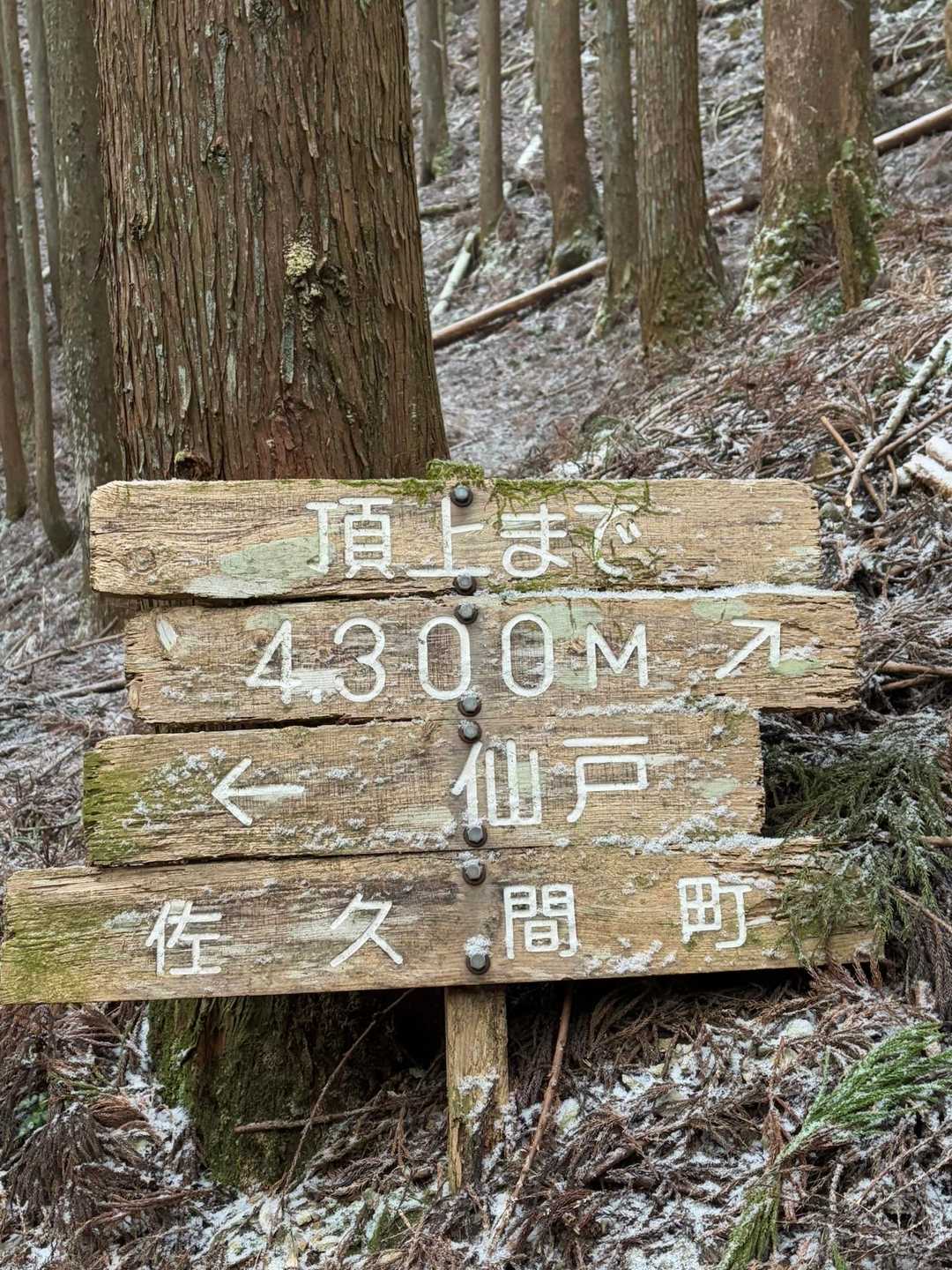 頂上まで4300M
ここまで緩かった