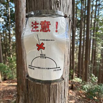 ルート間違え注意