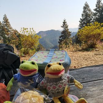 一旦、お昼休憩