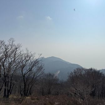 でも横霞んでる🥹