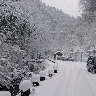 先行者ありの安心の金山滝口