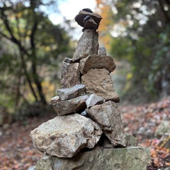 追加は勇気いります😅