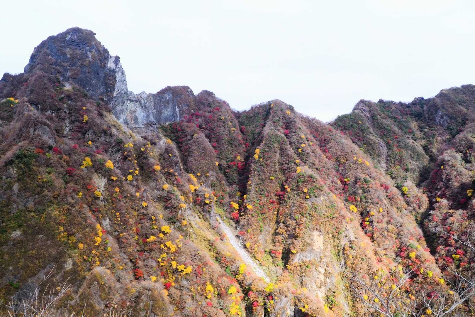 大戸尾根登山口-根子岳 往復コースの写真