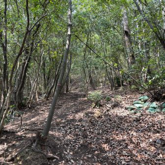 写真じゃ伝わらないけどめっちゃ急
重力が背中から抜ける方向にかかる