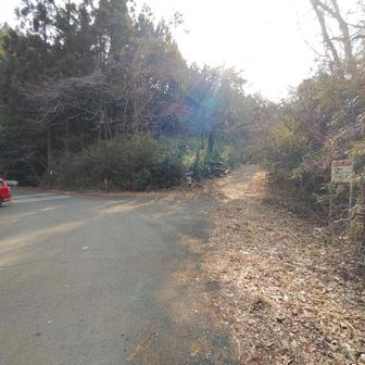 写真を追加しました。
この青麻山遊歩道口から500ｍくらい入った所で、広い林道から細い道になった少し先の沢沿いから子グマの威嚇する大きな鳴き声がしました。