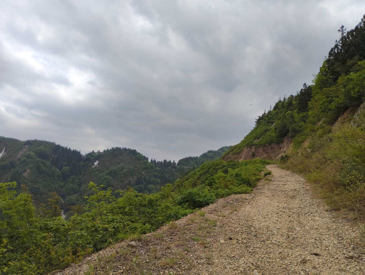 道幅が広い林道に出ました
暫く林道歩きが続きました