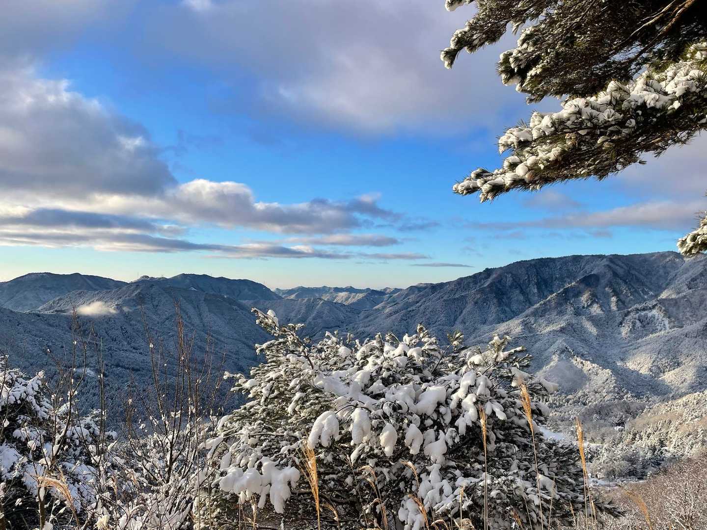 めちゃいい天気☀️