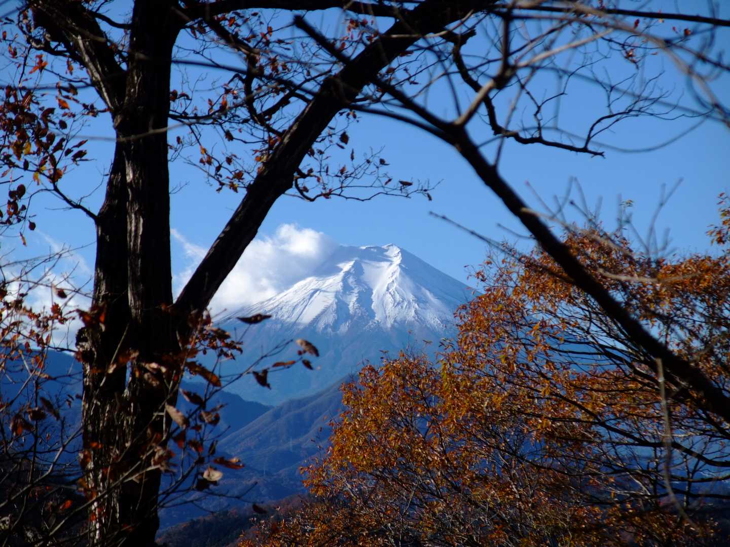 きれいですね〜
空が青いですね〜