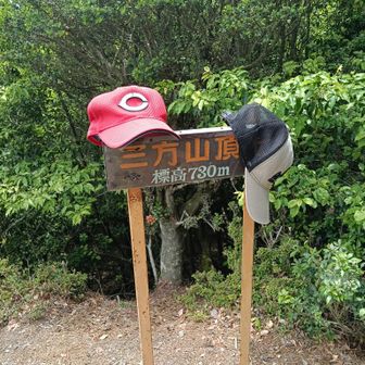 下りはここをすぐ下りて赤岩神社まで行くバリルート