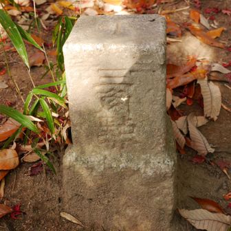 堂徳山三等三角点