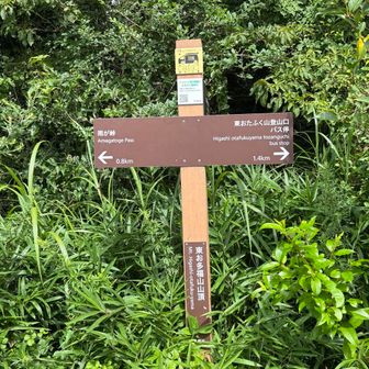 東お多福山山頂