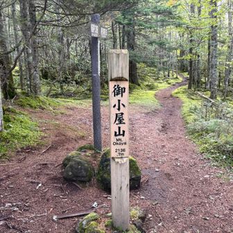 まずは御小屋山登頂！
ここまでは緩やかな登りでしたが、ここからは急登…