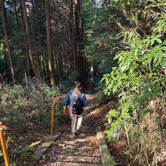 帰りは最初の階段を数えて下ってみました🤭