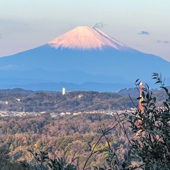 鷹取山からの富士山