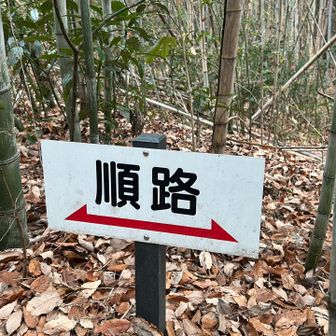 わかりやすくて歩きやすい👍