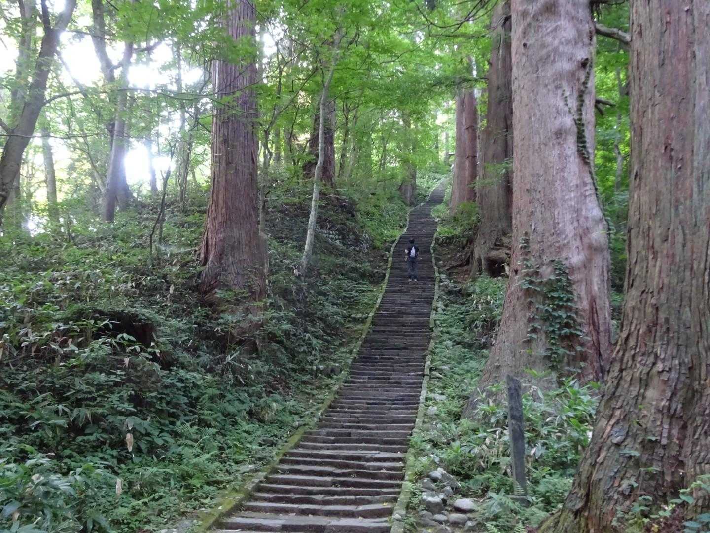 登っている人を見るとスケールがわかりますね👀