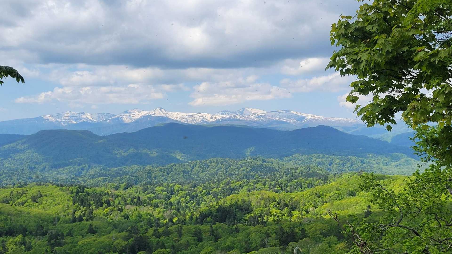 Aコース登山口-Bコース登山口-神居尻山 周回コースの写真