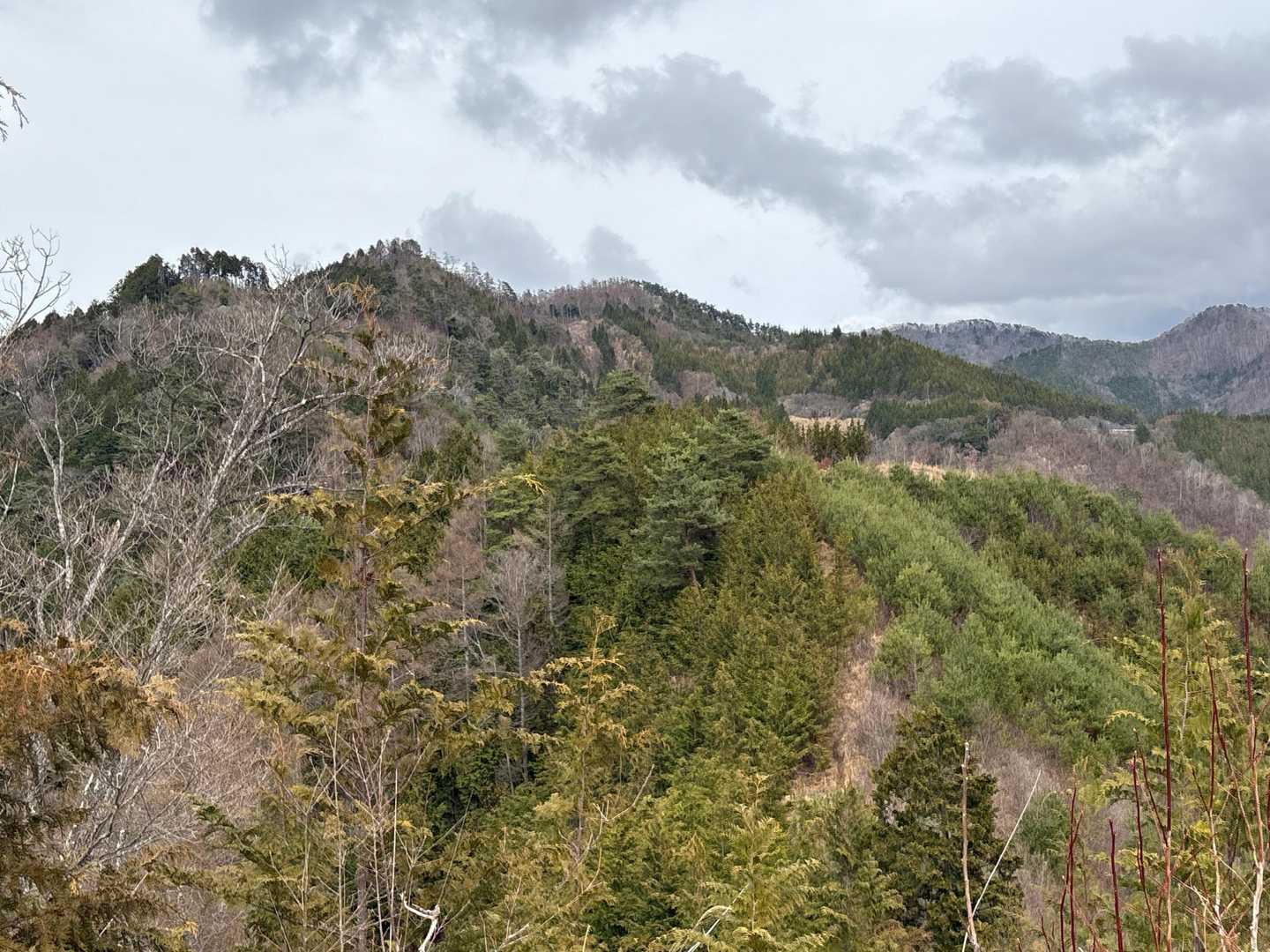 甲州高尾山-柏尾山-甲州高尾山登山口 縦走コースの写真