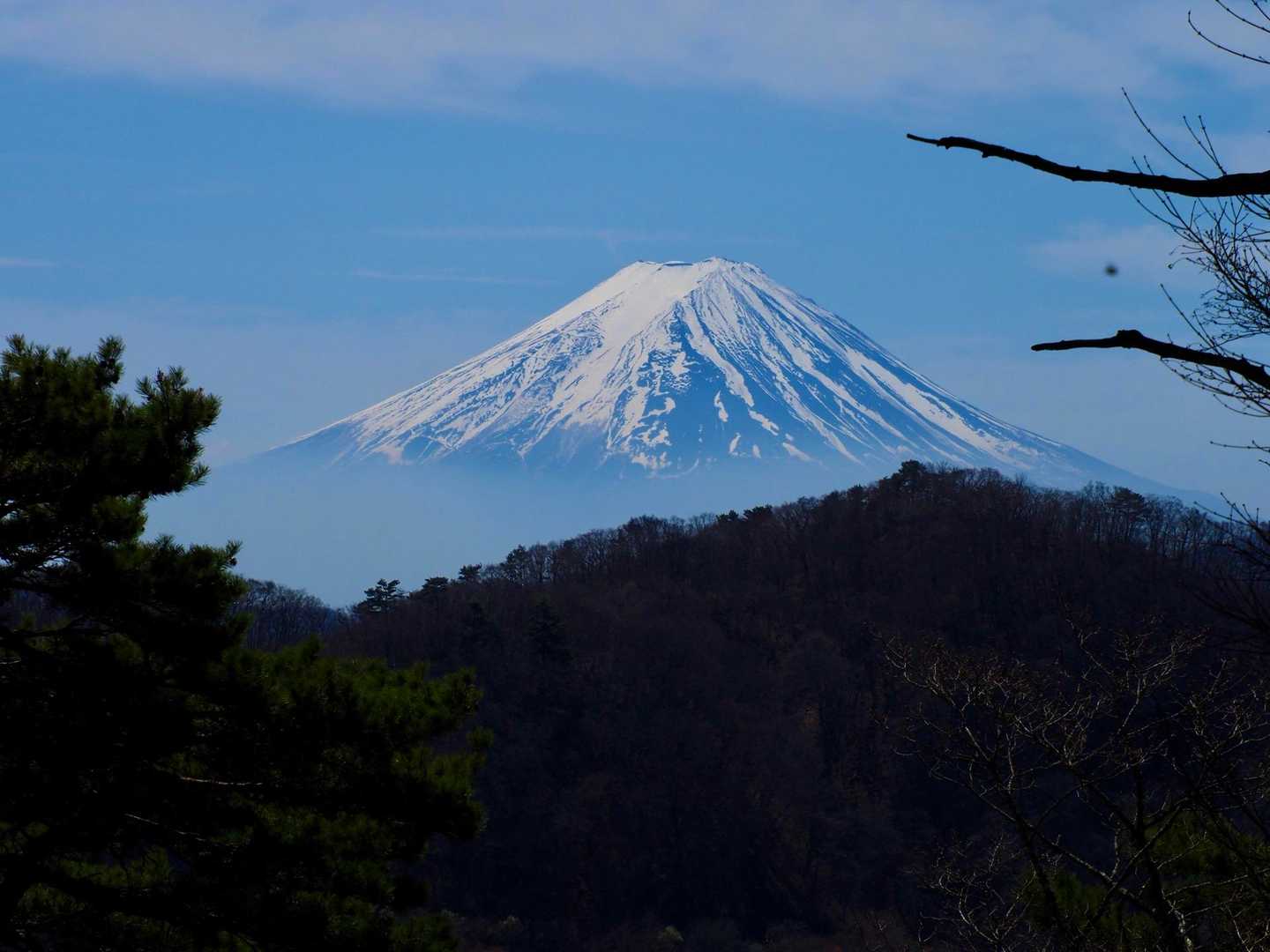 ますます良いお姿に🗻✨