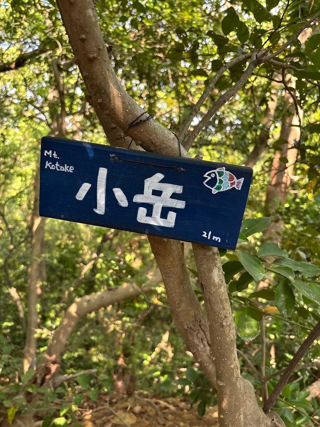 ここには山頂標識二つありました。