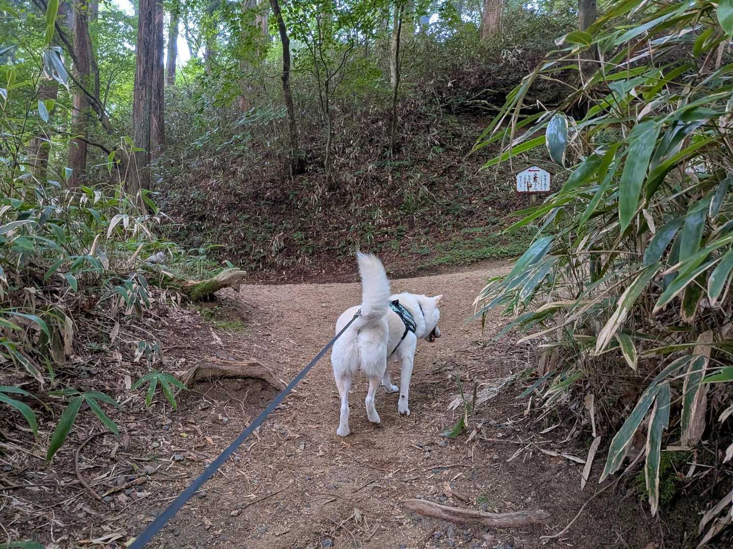 登りきりましたよ👏