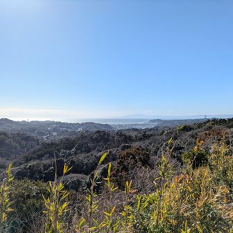 伊豆まで見えた👀