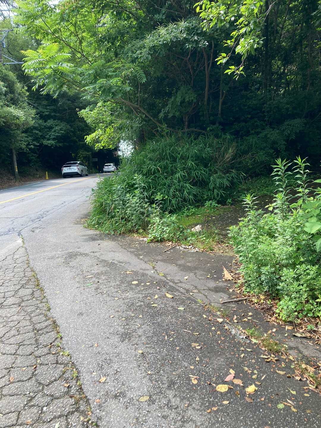 この右側の登山道から！
駐車場は、この手前の路肩のようなところにみなさん止めていたのでご一緒させてもらいました。
※ラブホの入り口手前です💦