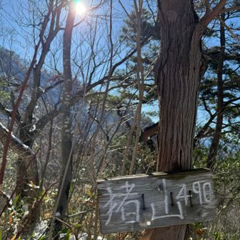 この時期の猪山経由は危ないな〜💦
