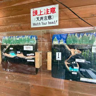共通券600円を購入