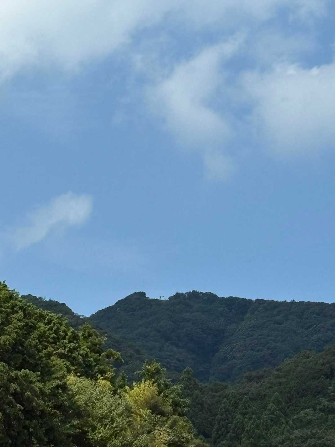 ちょっとブランコ見える👀